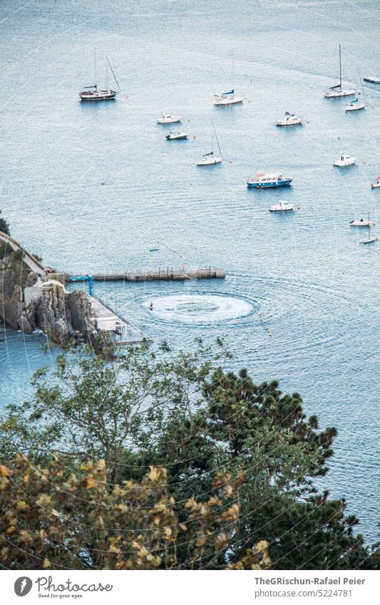 Schiffe auf dem Meer mit Bäume im Vordergrund und Wassermuster Sommer blau Natur Bucht donostia san sebastian Spanien San Sebastián Baskenland Landschaft MEER