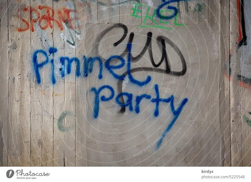 Pimmel Party . Graffiti, Text auf Betonwand schwul Anspielung Respektlosigkeit feiern schwule comunity Homosexualität männlich Jargon Geschlecht Männer