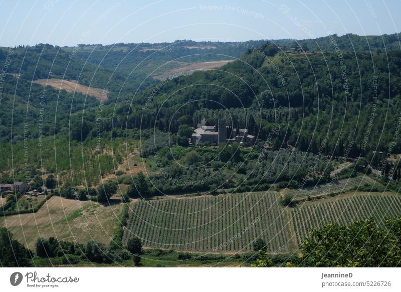 italienische Berg Landschaft Landschaften Italien Landwirtschaft anbauen agrar ländlich Feld Natur Ackerbau Berge u. Gebirge Hügellandschaft Italienische Küche