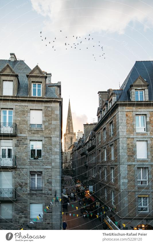 Häuser mit Kirche und Vögel am Himmel Mauer Stadt Frankreich reisen Tourismus Bretagne Ferien & Urlaub & Reisen Landschaft Außenaufnahme Menschenleer Saint-Malo