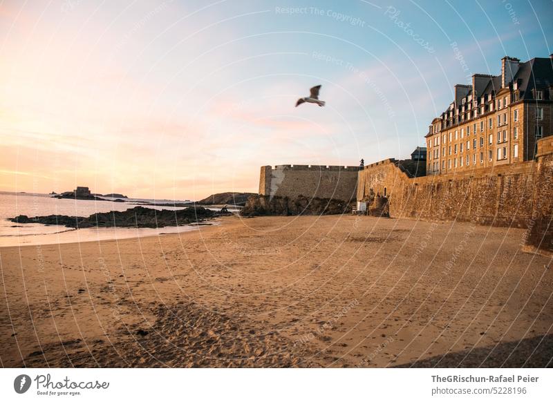 Strand mit Häuser im Hintergrund in Abendstimmung Mauer Stadt Frankreich reisen Tourismus Bretagne Ferien & Urlaub & Reisen Landschaft Außenaufnahme Himmel