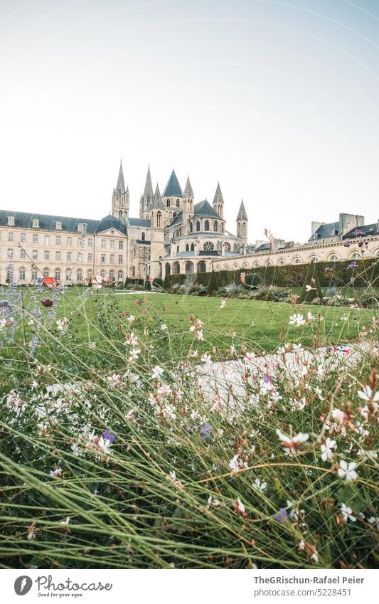 Kirche mit Gras im Vordergrund - CAEN - Frankreich caen Stadt Wahrzeichen Architektur Sehenswürdigkeit Tourismus Außenaufnahme Ferien & Urlaub & Reisen