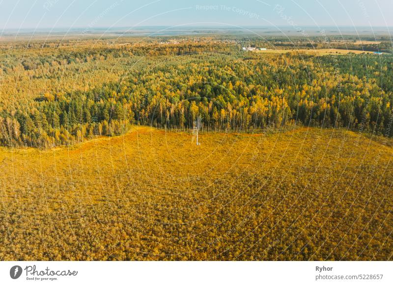 Weißrussland, Berezinsky Biosphärenreservat. Aerial Vogelperspektive Blick auf Holzweg Weg Weg von Sumpf Sumpf zu Wald im Herbst sonnigen Tag. Panorama, Panoramablick