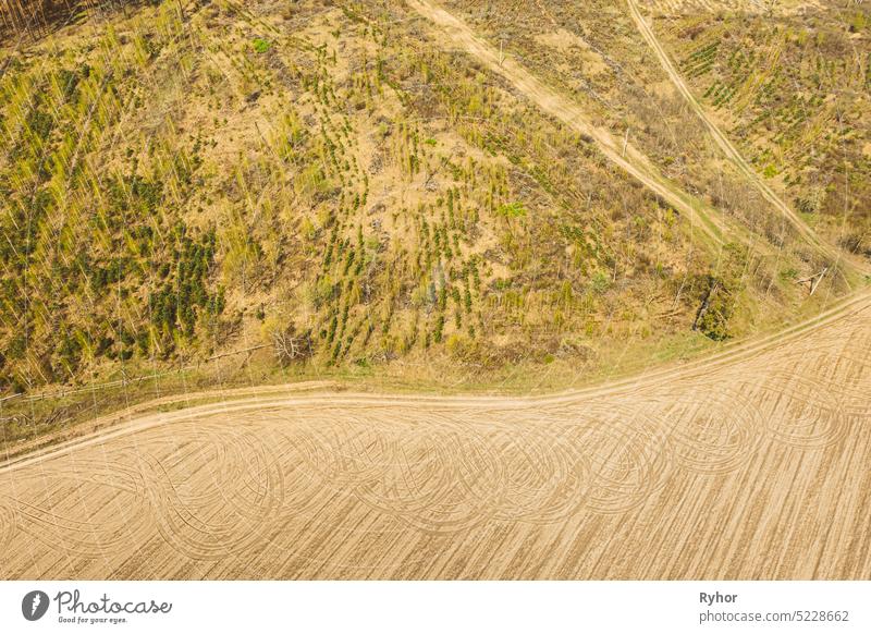 Luftaufnahme einer minimalistischen ländlichen Landschaft. Vogelperspektive der Abholzung. Beginn der landwirtschaftlichen Frühjahrssaison. Traktor Tracks auf gepflügten Feld Oberfläche von landwirtschaftlichen Maschinen