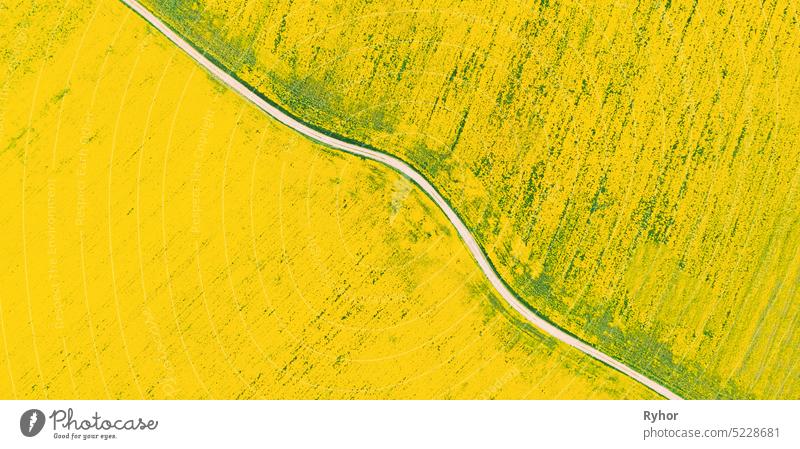 Luftaufnahme der landwirtschaftlichen Landschaft mit blühenden blühenden Raps, Ölsaat im Feld Wiese im Frühjahr. Blossom Of Canola Gelbe Blumen. Schöne ländliche Hintergrund Kulisse