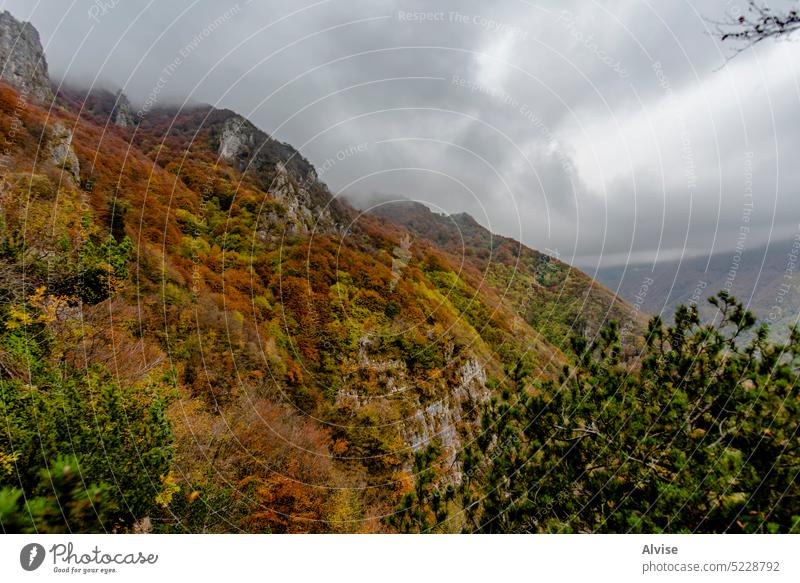 2022 10 23 Durlo mehrfarbige Täler 3 Landschaft Nebel Laubwerk Alpen Natur Berge u. Gebirge Wald Morgen Hügel reisen malerisch schön Baum Ansicht Herbst grün