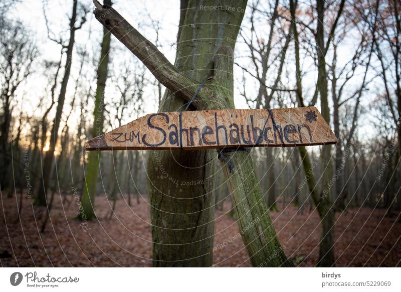 zum Sahnehäubchen Kosename Wald Pfeil lieblich Schild Richtung richtungsweisend niedlicher Ort Bäume Hinweis Hinweisschild Orientierung liebevoll