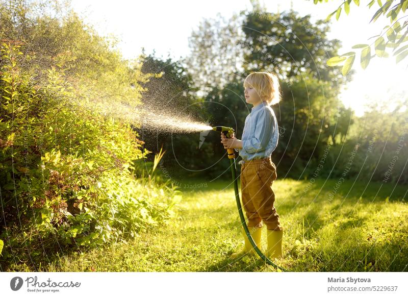 Lustiger kleiner Junge, der Pflanzen gießt und mit einem Gartenschlauch mit Sprinkler im sonnigen Hinterhof spielt. Schlauch Wasser Kind Aktion aktiv Aktivität
