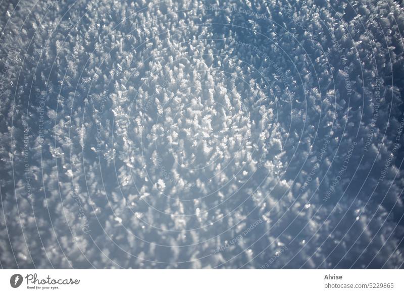 2023 01 07 Marcesina Schnee 1 Winter gefroren Eis Frost kalt weiß Natur Schneeflocke Saison Ast Baum verschneite Hintergrund Weihnachten blau Nahaufnahme Makro