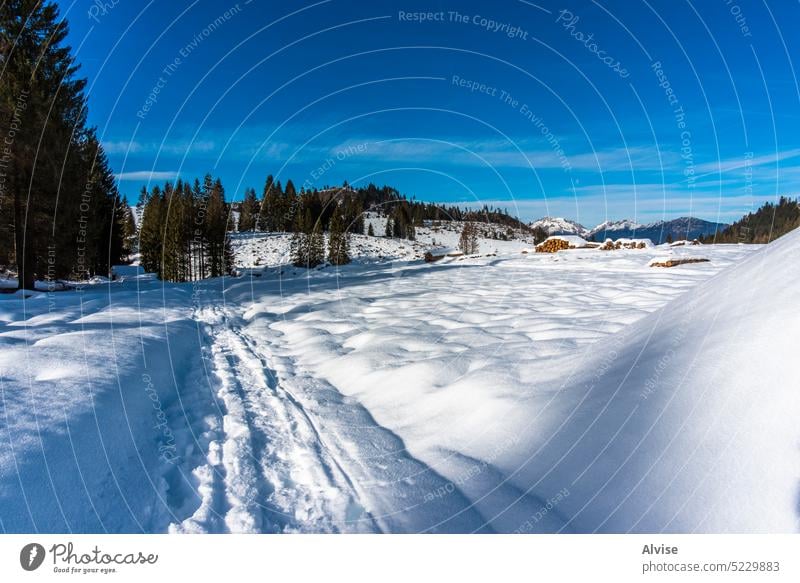 2023 01 07 Marcesina verschneite Straße 1 Winter Schnee Landschaft kalt Natur asiago blau Baum Himmel weiß Berge u. Gebirge Vicenza Bäume Wald Eis Winterberg