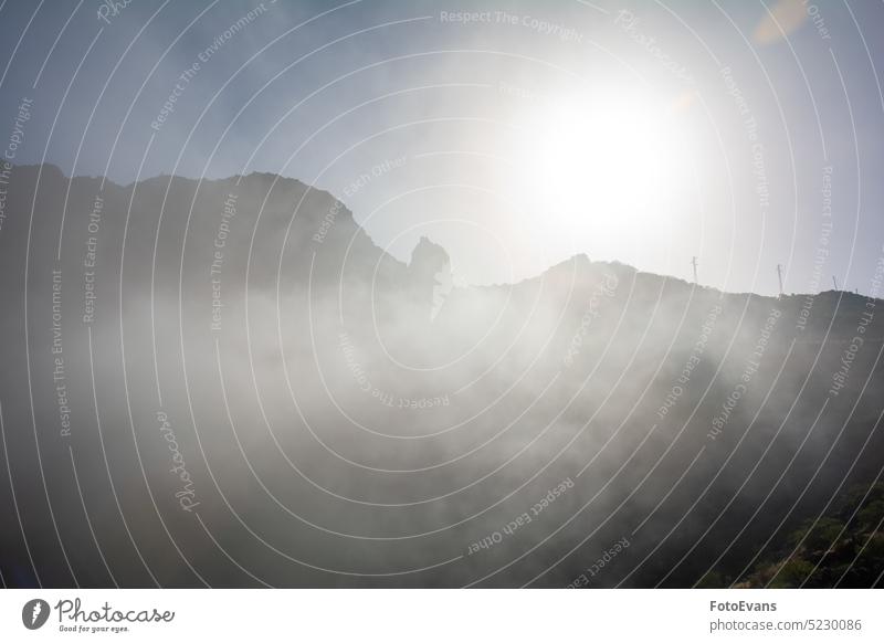 Nebel in den Bergen von Teneriffa in Spanien hoch Natur Tag Hintergrund früh Dunst Kanarische Inseln Baum Bergkette traumhaft neblig Urlaub Teno-Gebirge Flora