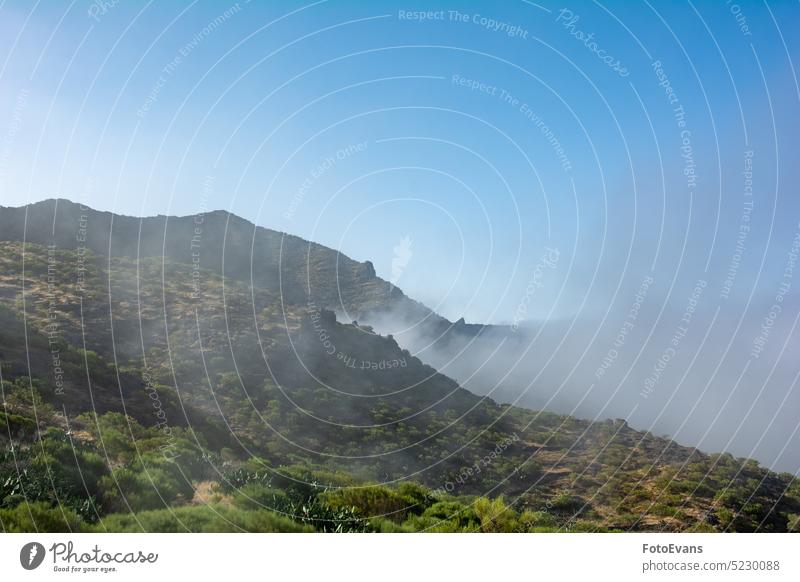 Nebel in den Bergen von Teneriffa in Spanien Wolkenwand hoch Natur Tag Hintergrund früh Dunst Bäume Landschaftsidylle Flora tiefstehend Insel traumhaft