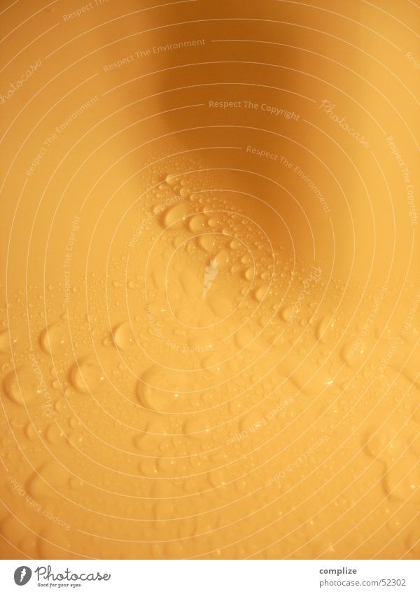 Tropfen am Körper! feucht kalt Licht Kühlschrank Wand nass gelb gelb-orange Bildpunkt Schatten glänzend Makroaufnahme Nahaufnahme Wasser Küche Wassertropfen