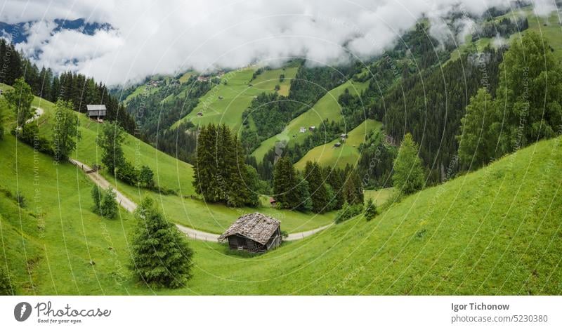 Schöne idyllische Natur grüne Wiese Landschaft der Alpen Bergkette am Sommertag. Österreich Luftbild Wald Berge u. Gebirge Fluss Antenne natürlich Saison
