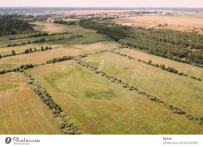 Aerial View Spring Green Field With Windbreaks Landscape. Top View of Feld und Wald Gürtel. Drone View Vogelperspektive. Ein Windschutz oder Shelterbelt ist eine Bepflanzung in der Regel zum Schutz des Bodens vor Erosion