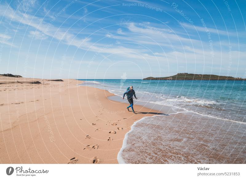 Ein junger, leidenschaftlicher schwarzhaariger Dobby flüchtet vor den Wellen des Atlantiks an einem Sandstrand in der Nähe von Porto Covo, Portugal. Auf den Spuren von Rota Vicentina