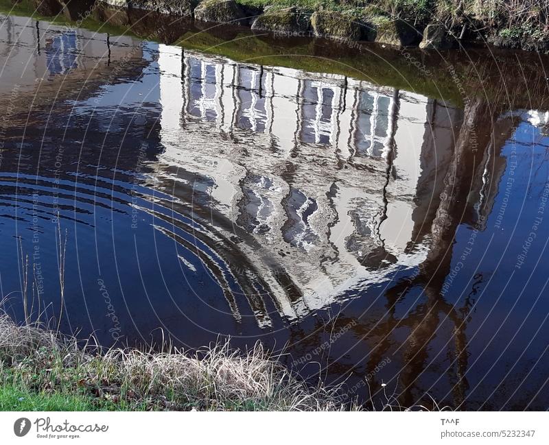 Spiegelung eines zweistöckigen weißen Hauses in einem Wallgraben – die Wasserverdrängung eines Teichhuhns zerstört die Spiegeluing von linksunten