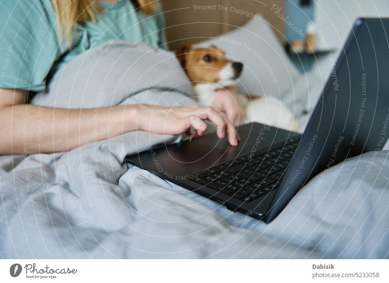 Frau mit süßem Hund im Bett liegend und mit Laptop am Morgen Zusammensein Freiberufler bequem heimwärts Haustier benutzend arbeiten Zuneigung bezaubernd LAZY