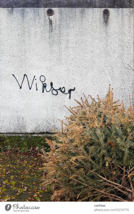 Der Niveau von die Leute tut nachlassen Graffiti Text Wand Fassade Garage Weihnachtsbaum Entsorgung Wikser Wichser Schimpfwort Schriftzeichen Mauer Buchstaben
