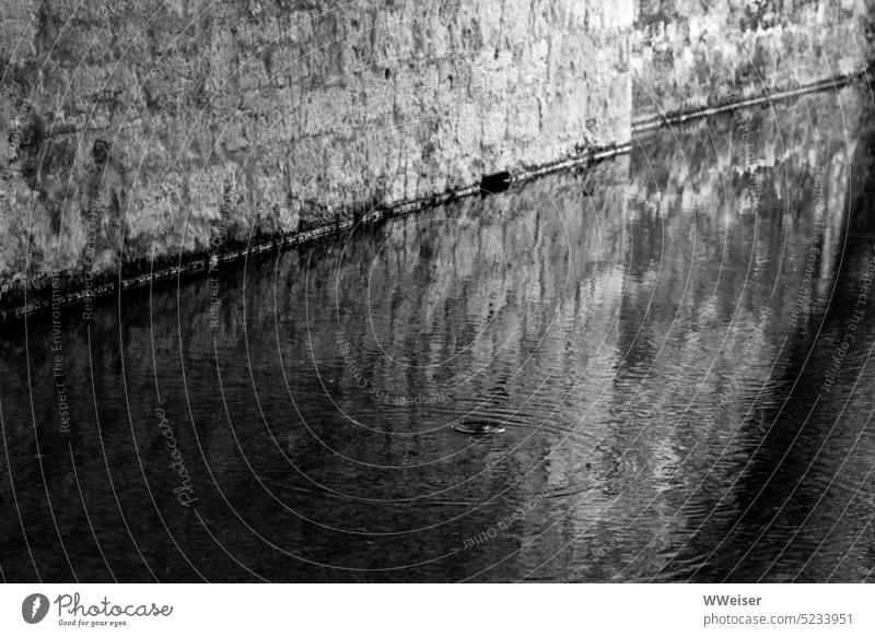 Unter der Brücke fließt das Wasser langsam dahin, ein Tropfen verursacht Kreise auf der Oberfläche Stille ruhig Ruhe Stein Fluss Kanal Brückenpfeiler alt
