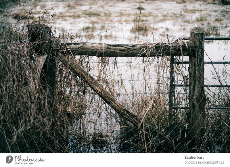 Altes Weidetor aus Holz vor sumpfiger Wiese Tor Zaun Sumpf Fließ Wasser Überschwemmung Natur Moor Morast Gras düster regnerisch Zugang Öffnung Eingang weglos