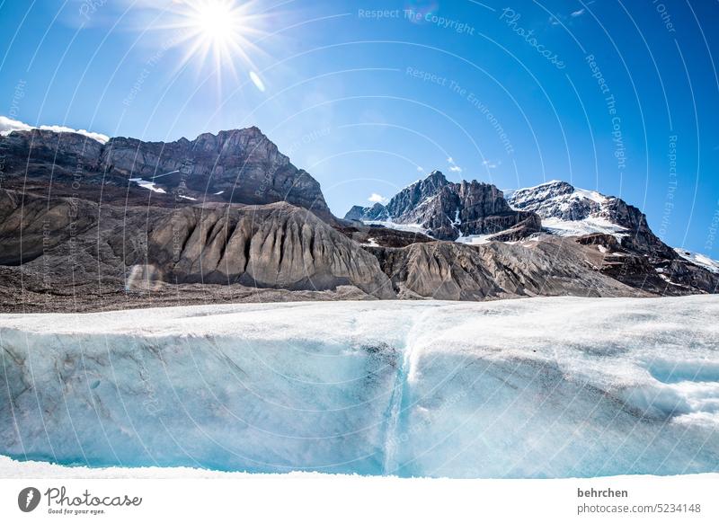 schnee massiv Klima Kälte Klimawandel Klimaschutz Umweltschutz Gletscher Banff National Park Eis kalt beeindruckend Athabasca Glacier Abenteuer wandern Kanada
