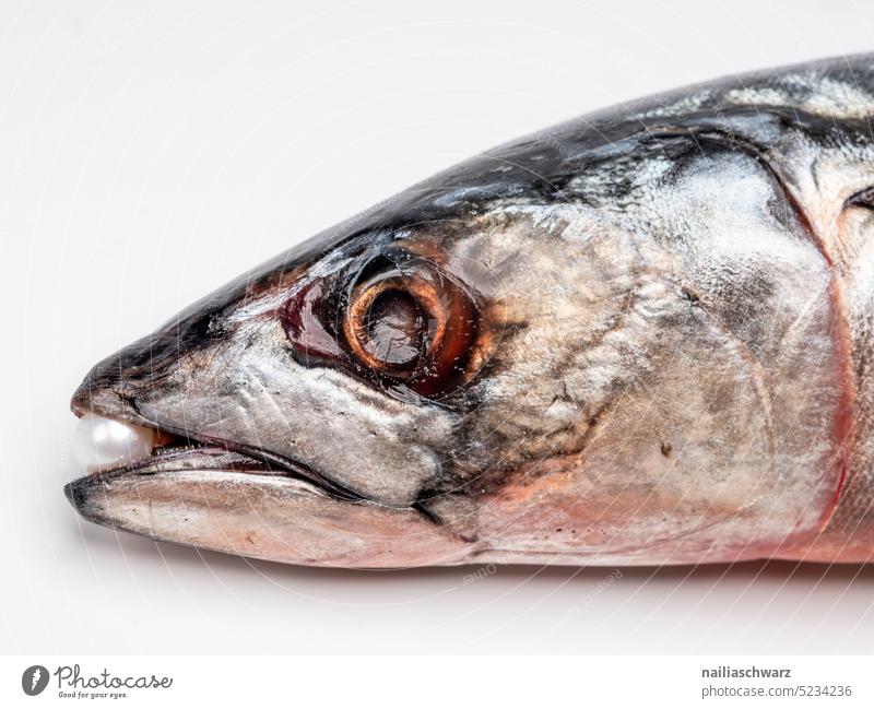 Makrelenkopf mit Perle Makrelenfisch Kopf Fischkopf Farbfoto Seafood frisch frischer Fisch Lebensmittel Bestandteil Essen Auge körperteil struktur