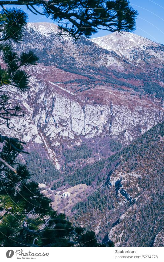 Kiefernzweige vor dem Blick in die Tiefe, Tal im Vorgebirge der Pyrenäen Zweige Spanien Katalonien Höhenangst Perspektive weit tief Landschaft Natur Berge