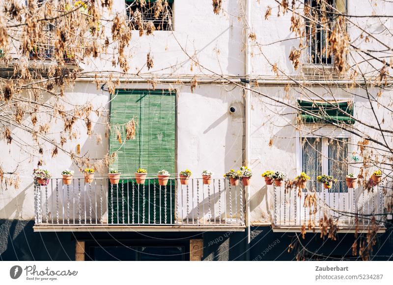 Hausfassade in Katalonien, Balkon mit Blumentöpfen, grüne Tür und Fenster, Frühlingssonne Fassade Sonne Berga katalanisch weiß Balkontür Erwartung sonnig Siesta