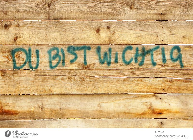 DU BIST WICHTIG steht an einer Wand aus Holzlatten / Botschaft du bist wichtig Aufmunterung Holzwand wichtig sein wertvoll sein Menschenwürde Blog Optimismus
