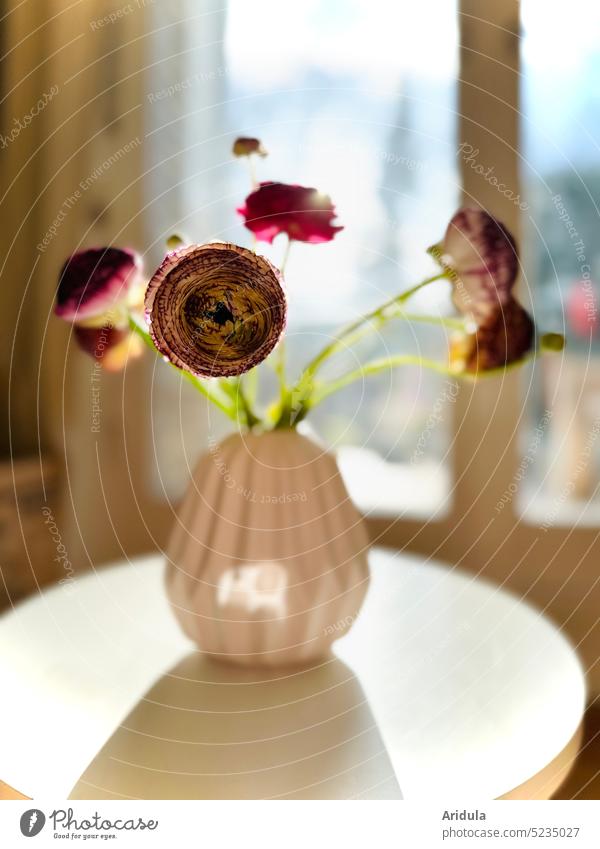 Bunte Ranunkeln in rosa Vase No. 3 bunt Blumenstrauß Frühling Blüte Dekoration & Verzierung schön Innenaufnahme Regal Fenster Terrasse Gegenlicht Licht