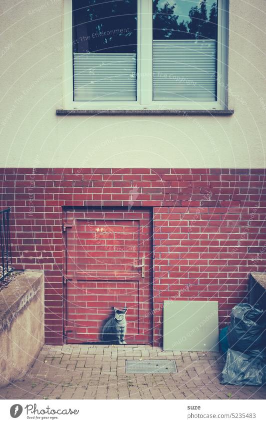Die Katze ist aus dem Haus … Hauswand IllustrationBild (Darstellung) Wand Gebäude lustig Fassade Tür aufpassen Türsteher alt Menschenleer Fenster trist Stadt