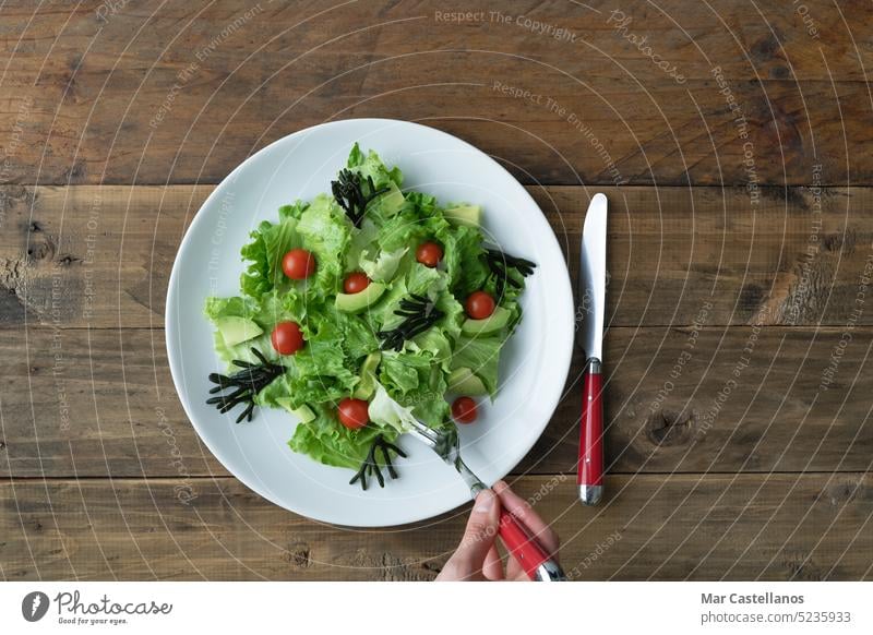 Hand mit Gabel isst verschiedenen Salat auf weißem Teller auf hölzernem Hintergrund. Platz zum Kopieren. Gemüse Veggie Vegetarier Entzug Natur roh Bestandteil