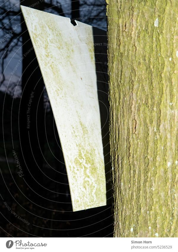 altes Schild an einem Baum Wegweiser Richtung Pfad Schilder & Markierungen Wege & Pfade Rinde grün Patina Orientierung schief Strukturen & Formen Wald Spuren