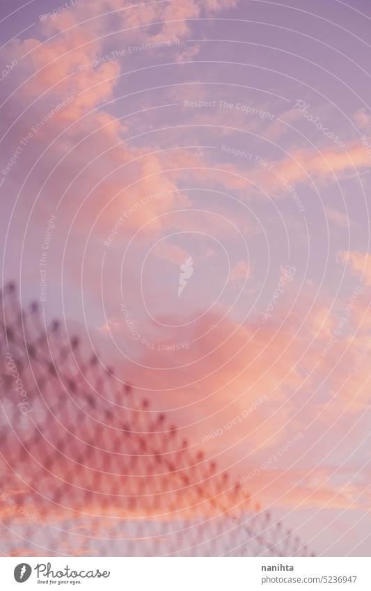 Hintergrundbilder eines bewölkten Himmels im Kawaii-Anime-Stil in Pastelltönen verträumt surreal Wolken Zauberei u. Magie ätherisch sehr wenige rosa kawaii