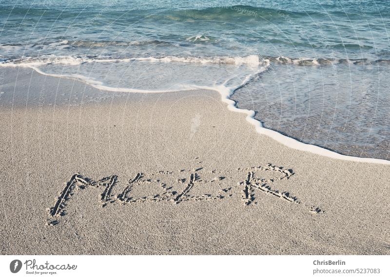 Das Wort Meer am Strand in den Sand geschrieben Wasser Sonne Urlaub Blau Natur Landschaft Erholung Reise ferien freizeit Freiheit sommer Brandung