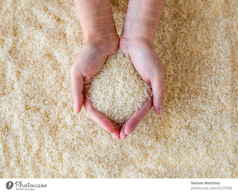 Die Hände einer Frau halten Reiskörner Ackerbau Pflanze Lebensmittel Hand Nahaufnahme natürlich Samen roh Korn Natur organisch Gesundheit Ernte Bestandteil