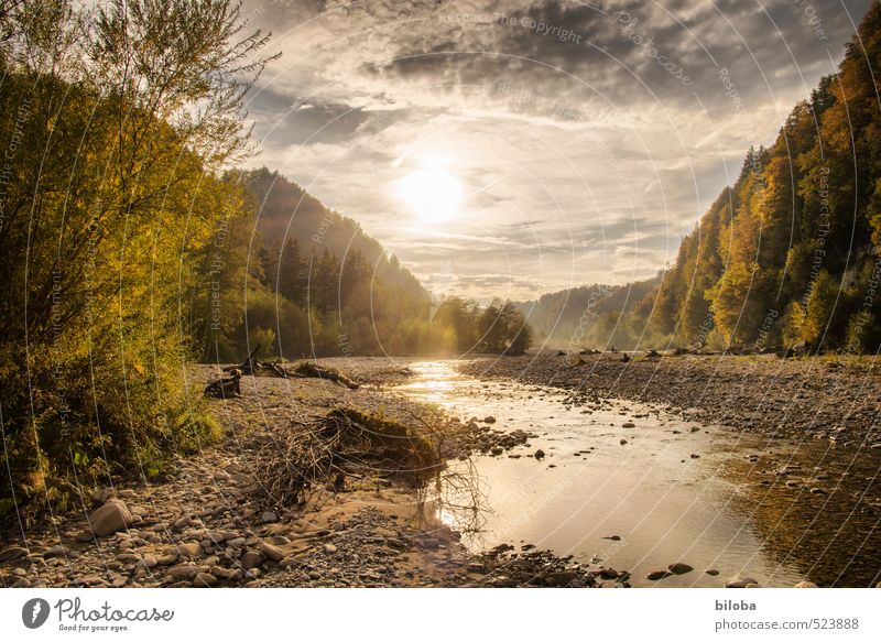Sense - Schwarzwasser im goldenen Abendlicht Landschaft Wasser Wolken Sonne Herbst Wald Fluss Gefühle Lebensfreude Hoffnung Einsamkeit Flussufer