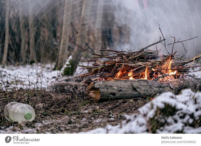 An einem kalten Wintertag brennt im Wald ein Lagerfeuer. Herbst Hintergrund Freudenfeuer hell braun Brandwunde Tag Glut Energie Umwelt Feuer Brennholz Flamme
