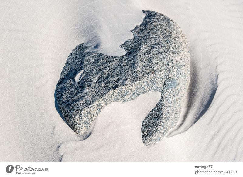 Findling am Ostseestrand Fels Stein großer Stein Sand Sandstrand Windspuren Ostseeküste Küste Natur Strand Außenaufnahme Farbfoto abstrakt Abstraktion
