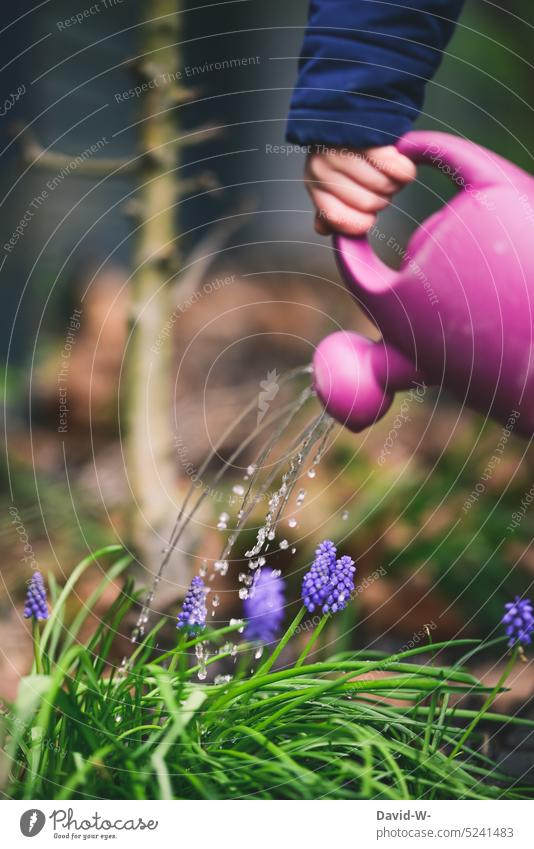 Kind gießt mit seiner Gießkanne im Garten die Blumen gießen niedlich fleißig Wasser Gärtner Gartenarbeit wässern Natur Frühling Pflanze anonym Hand