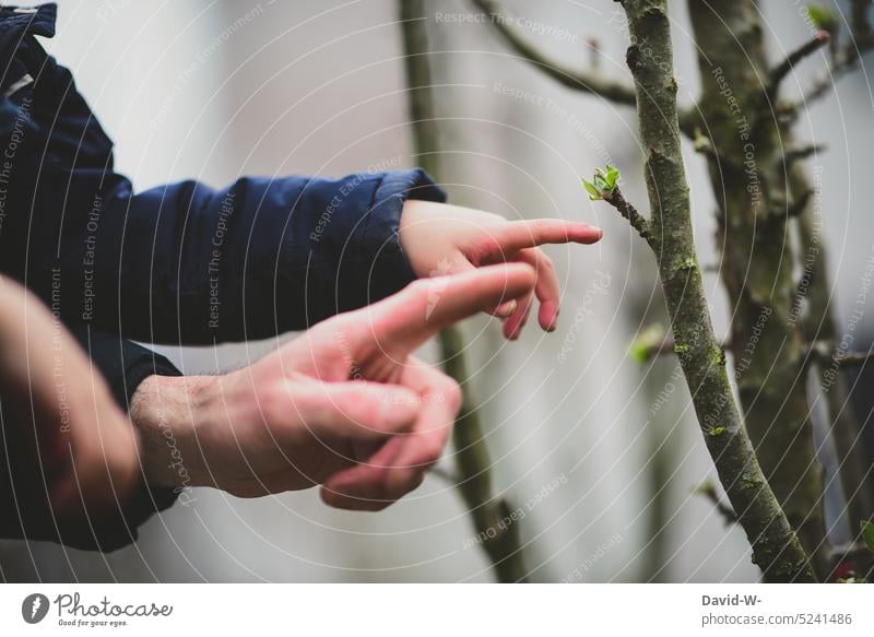 Vater zeigt Kind wachsende Pflanzen im Frühling Natur Wachstum Knospen erklären zeigen Eltern Garten Kindererziehung Umwelt Blüte Baum Hände Finger