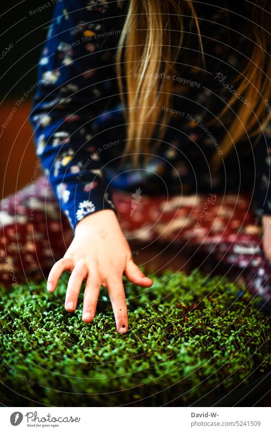 Kind und Pflanzen - Wachstum - selbst angepflantze Kresse bewundern Natur berühren anpflanzen hand erkunden Umwelt mädchen interessiert grün vorsichtig wachsen