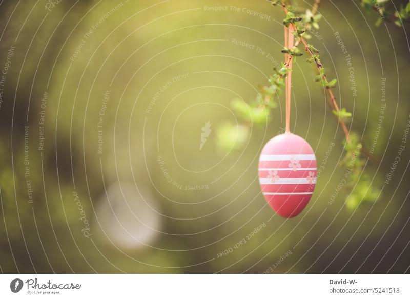 Osterei hängt an einem Zweig im Garten Ostern osterdekoration Frühling frühlingsbeginn ostereier Ei Dekoration & Verzierung grün hängen bunte Eier