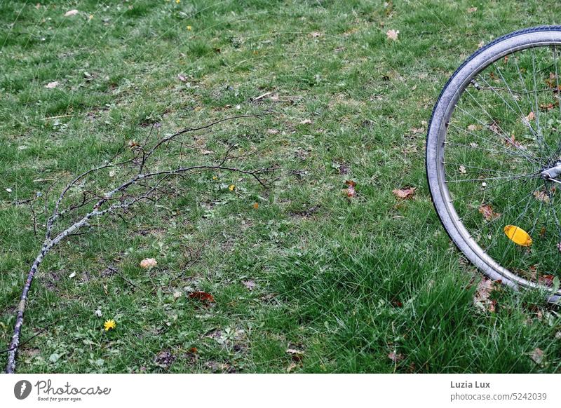 Ausflug ins Grüne, angeschnittenes Fahrrad im Rasen, mit Astbruch grün Fahrradfahren Straßenverkehr Außenaufnahme Menschenleer Tag Stadt idyllisch urban