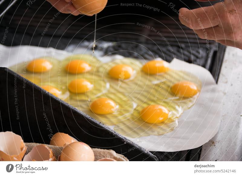 neben das andere  / 9 auf einem Streich. Eierbraten auf dem Grill. eier Ostern Tradition Frühling mehrfarbig Braten Grill - Mahlzeit Lebensmittel Nahaufnahme