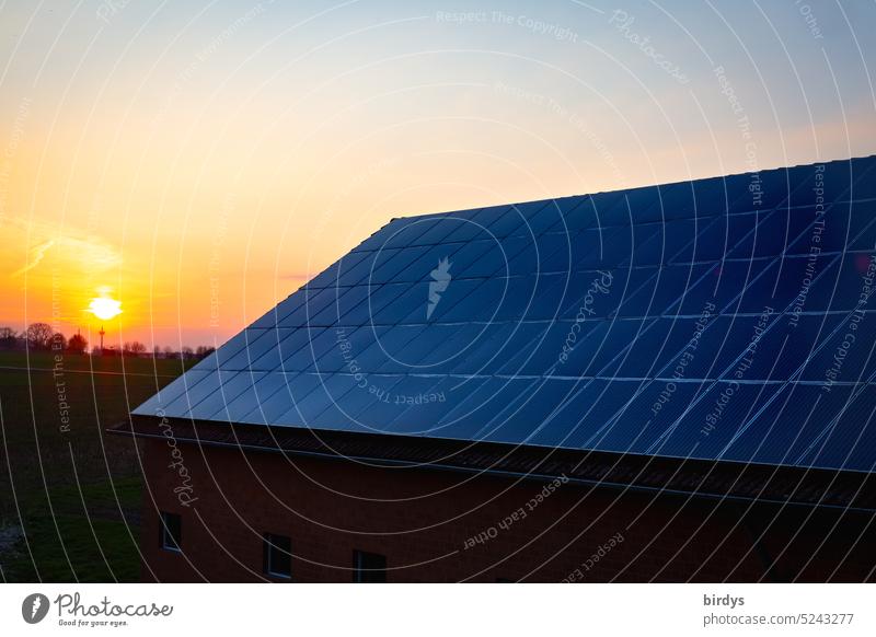 Photovoltaikanlage auf einem Dach, im Hintergrund die untergehende Sonne Abendrot Dämmerung Sonnenuntergang Erneuerbare Energie Energiegewinnung