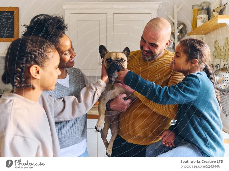 Familie und Junge mit Down-Syndrom streicheln Haustier Hund Französische Bulldogge lächelnd Lächeln französische Bulldogge Sohn Kraulen Vater Lifestyle