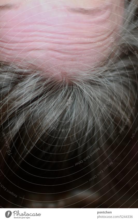 kopfüber. stirnfalten und graue haare- der alterungsprozess lässt sich nicht verleugnen. altern stirnrunzeln frau älter werden augenbrauen Haare & Frisuren