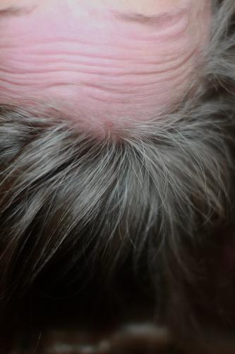 kopfüber. stirnfalten und graue haare- der alterungsprozess lässt sich nicht verleugnen. altern stirnrunzeln frau älter werden augenbrauen Haare & Frisuren